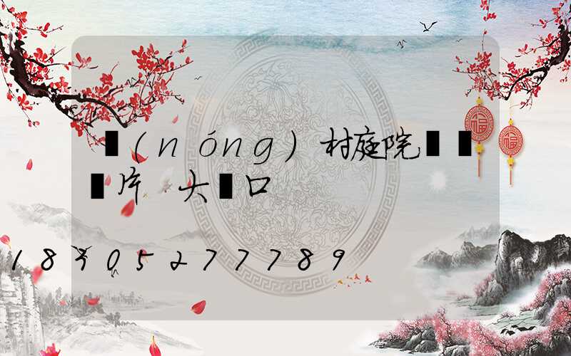 農(nóng)村庭院設計圖片 大門口